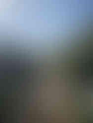 Barnburgh Circular Walk by The White Shire Walks