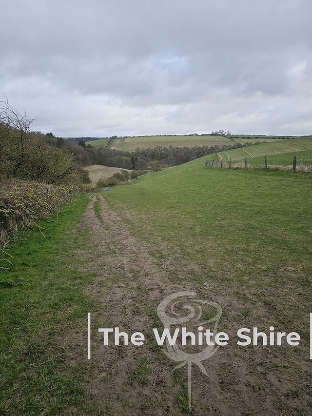 Yorkshire Wolds Circular Walk, Near South Cave. By The White Shire Walks.