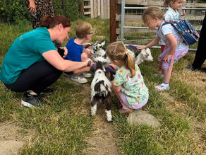Walking the Goats at Lower Coates Farm