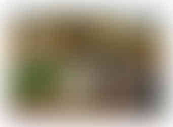 Garden design fro a property in Wakefield by MP Landscape & Garden Design Ltd