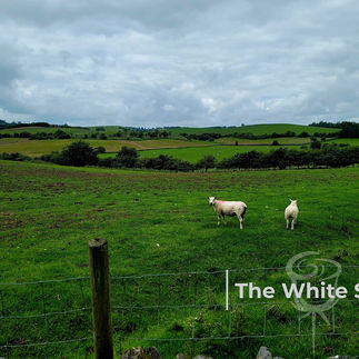 Gargrave Circular Walk. The White Shire Walks.