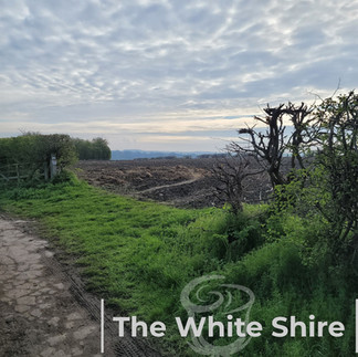 Ackworth circular walk. West Yorkshire.