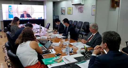 videoconferencia com g20.jpeg