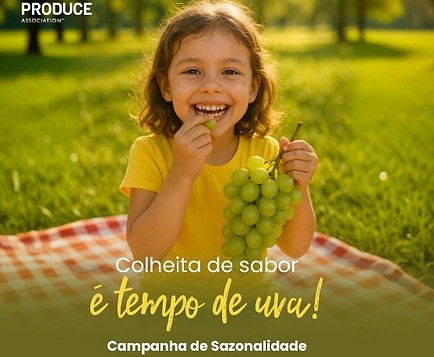 sazonalidade.jpg