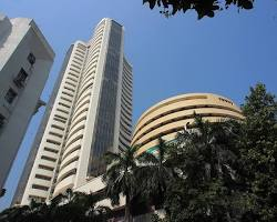 Market Bifurcation: Where Your Money Should Go Right Now