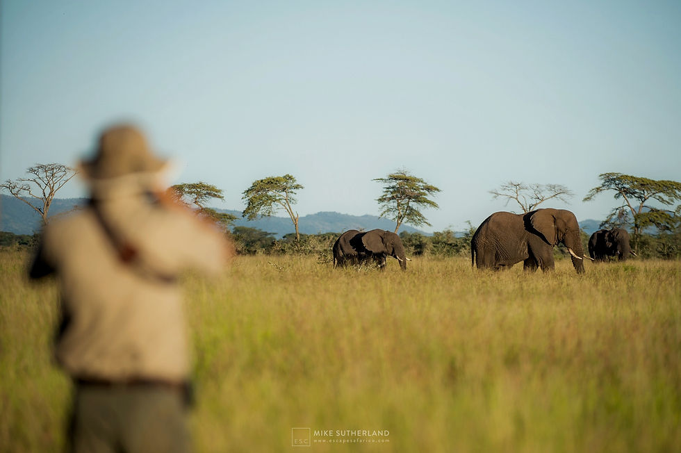 Escape Safari Co - Mike Sutherland (1 of 1)-44 copy_edited_edited.jpg