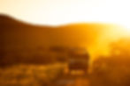 Escape Safari Co - Mike Sutherland Mother of Seven (1 of 1)-7.jpg