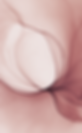 Bluetenblatt.png