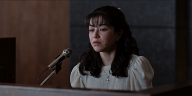 I WAS LORENA BOBBITT