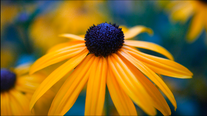 Screen Shot 2023-02-20 at 4.12.01 PM.png