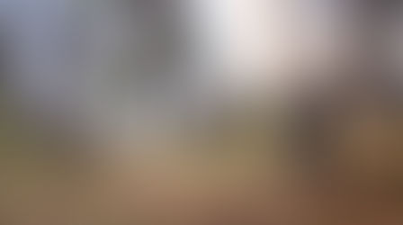 PONDEROSA PRESCRIBED BURN PLAN COMPLETE