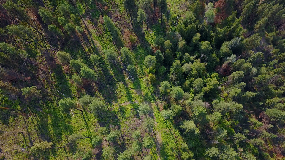 Screen Shot 2023-03-27 at 1.17.11 PM.png