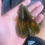 Thumbnail: Army Green Craw Trailer 