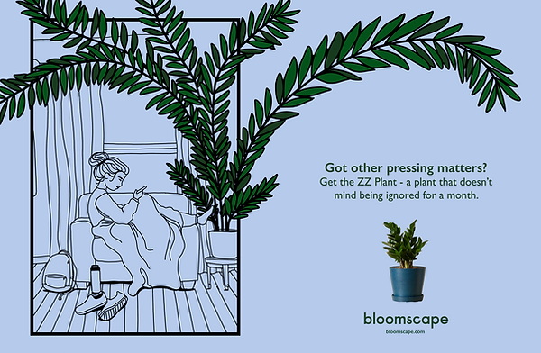 Bloomscape Print 2 - ZZ Plant (1).png