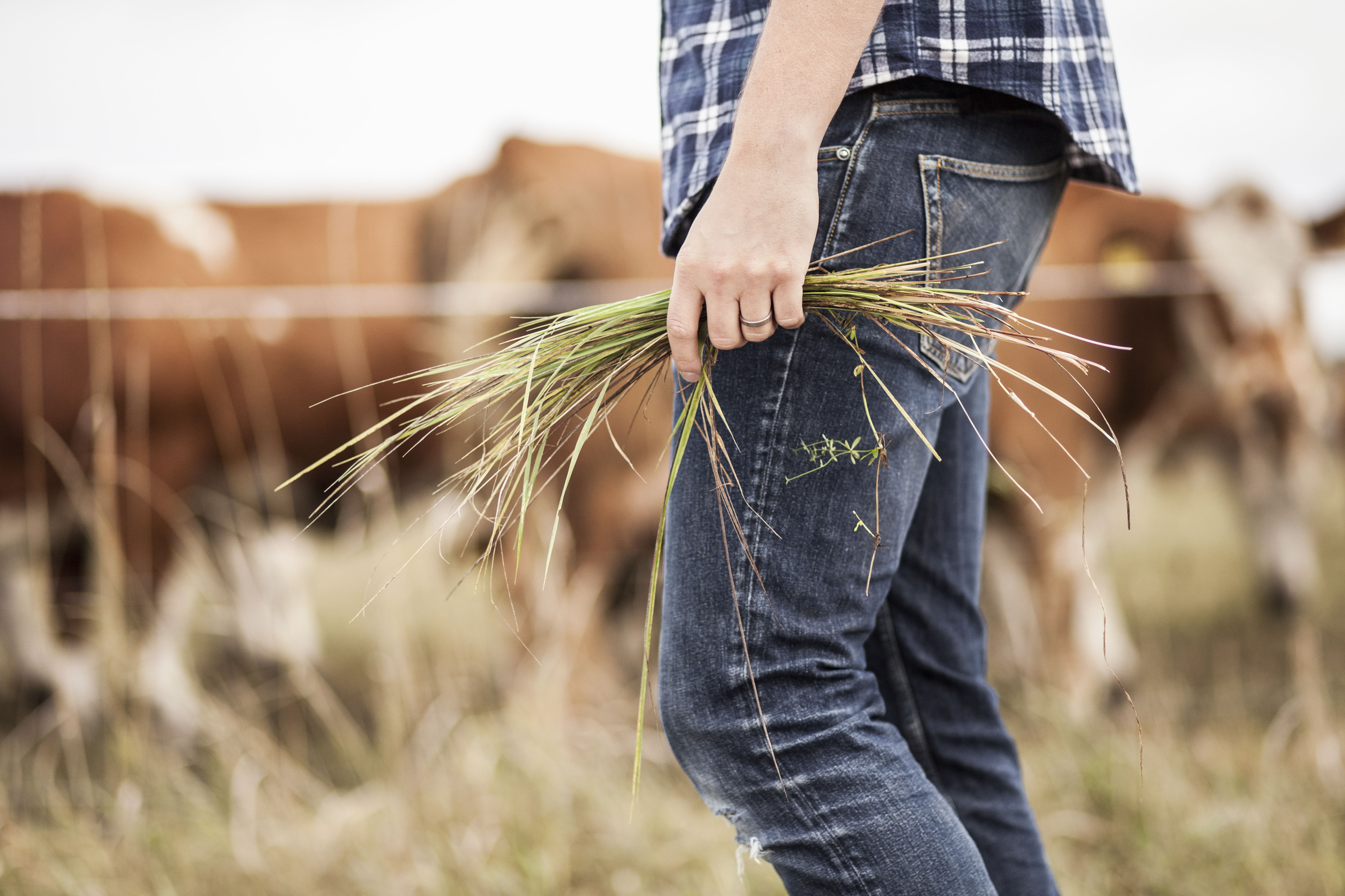 Young Farmers & Ranchers