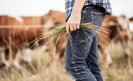 Farmer