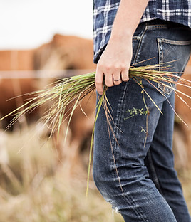 Agricultor