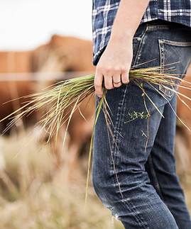 Farmer