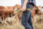 Farmer Holding Grass