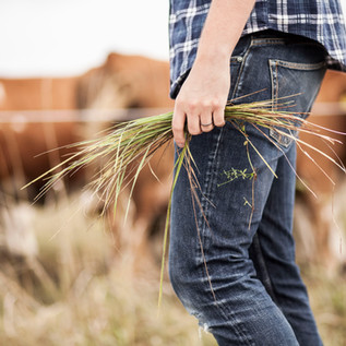 agricultor