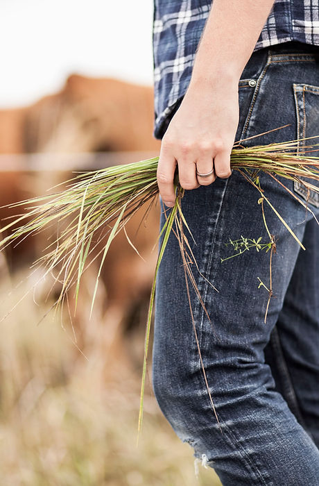 Farmer