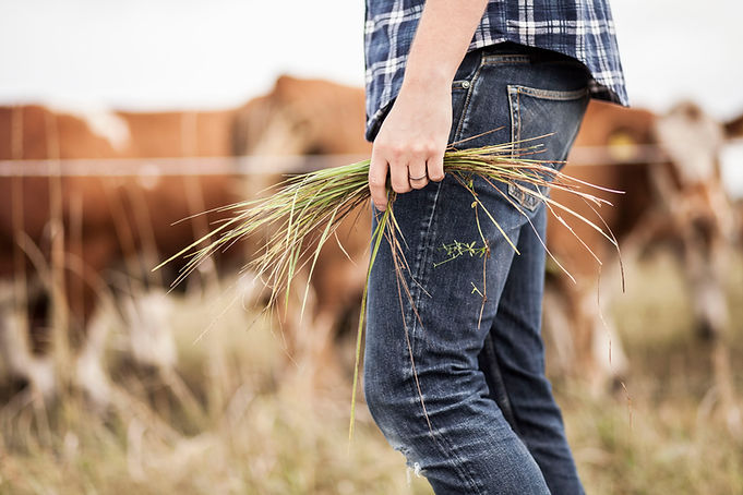 Farmer