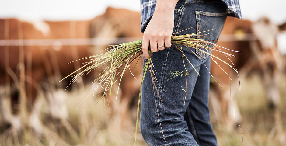 Farmer