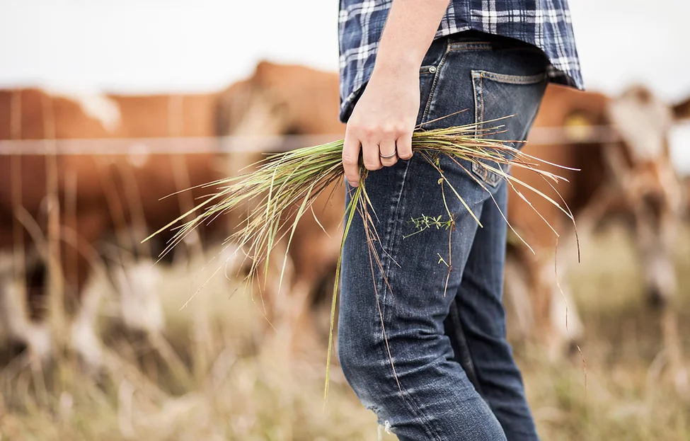 Farmer
