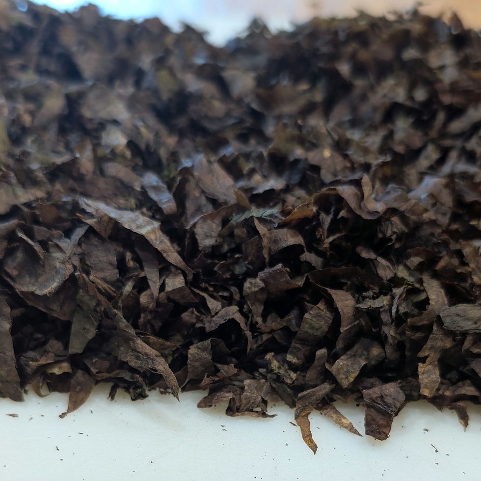 Thumbnail: Mapacho Nicotiana Rustica From Peru
