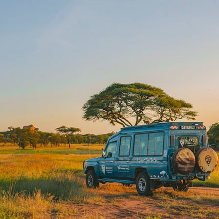 Jeep nella savana africana