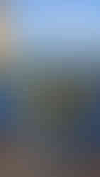 Pranzo greco vista mare