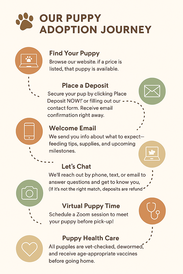 Our Process Chart