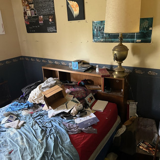 junk removal in allegan