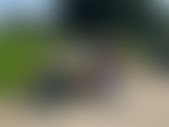 Junk Removal in Mattawan