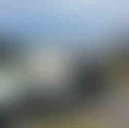 Dumpster Rental near Wayland, MI