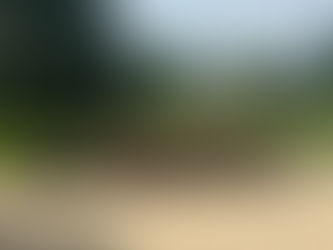 Junk Removal in Parchment