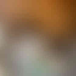 Garage Cleanout in Kalamazoo, MI