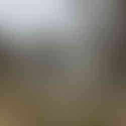 Junk Removal in Kalamazoo