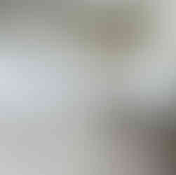 Junk Removal in Battle Creek, MI