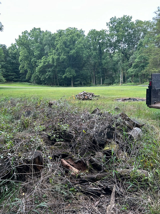 Yard Waste Removal