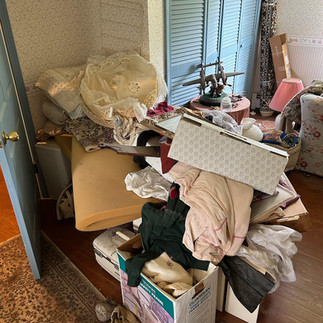 junk removal in allegan