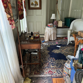 Junk Removal in Delton