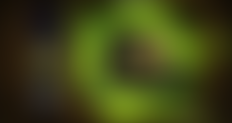 HEARTHSTONE | Journey to Un'goro pack opening
