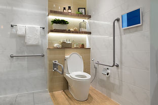 Bathroom modification.jpeg