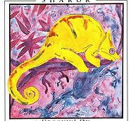 Shakok2Cover277.jpg