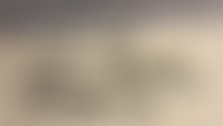 Conciliar a contradição