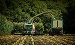 Mais hakselen Krone - KW Creative