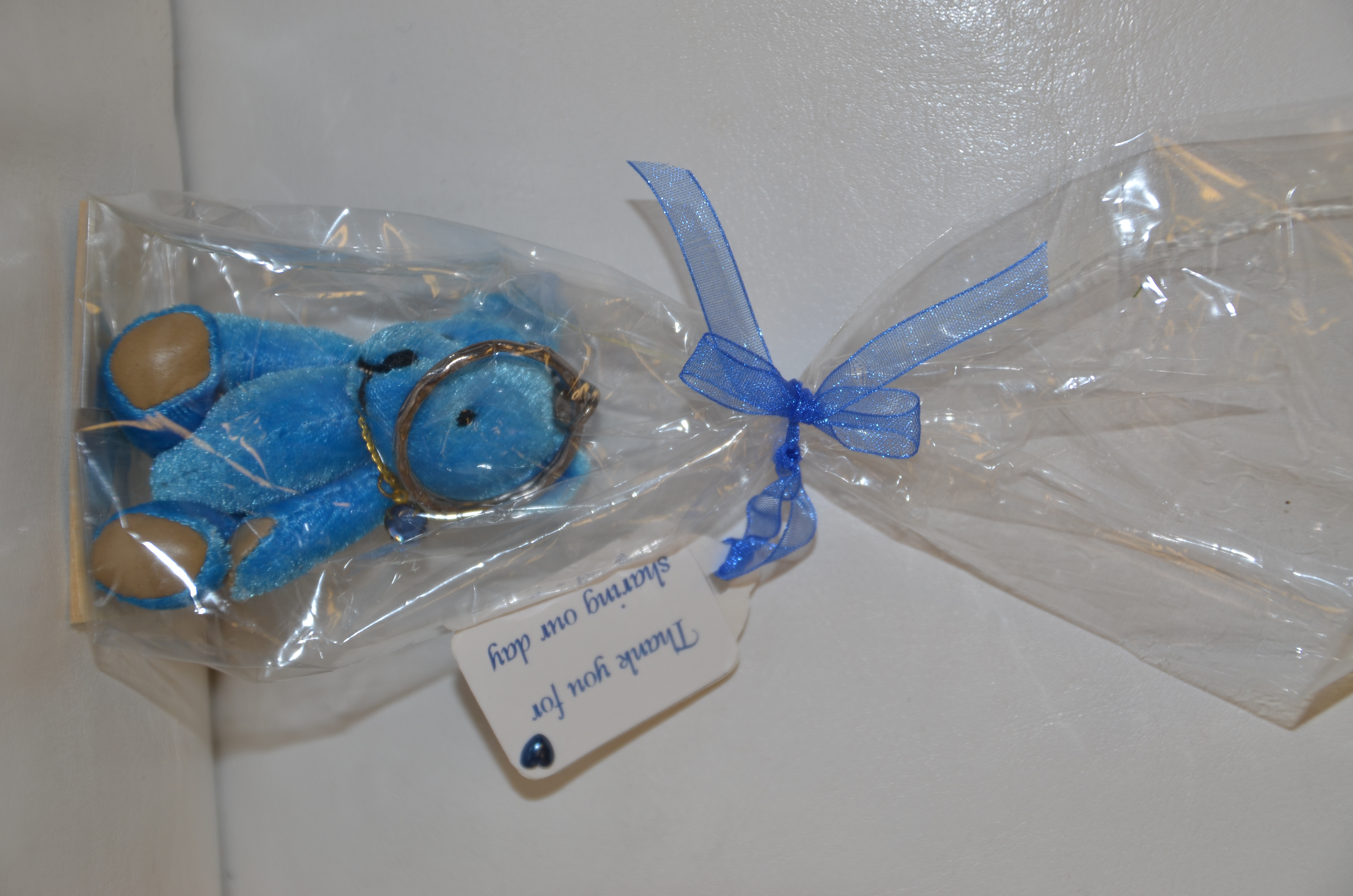 Blue Bear Keyring Gift