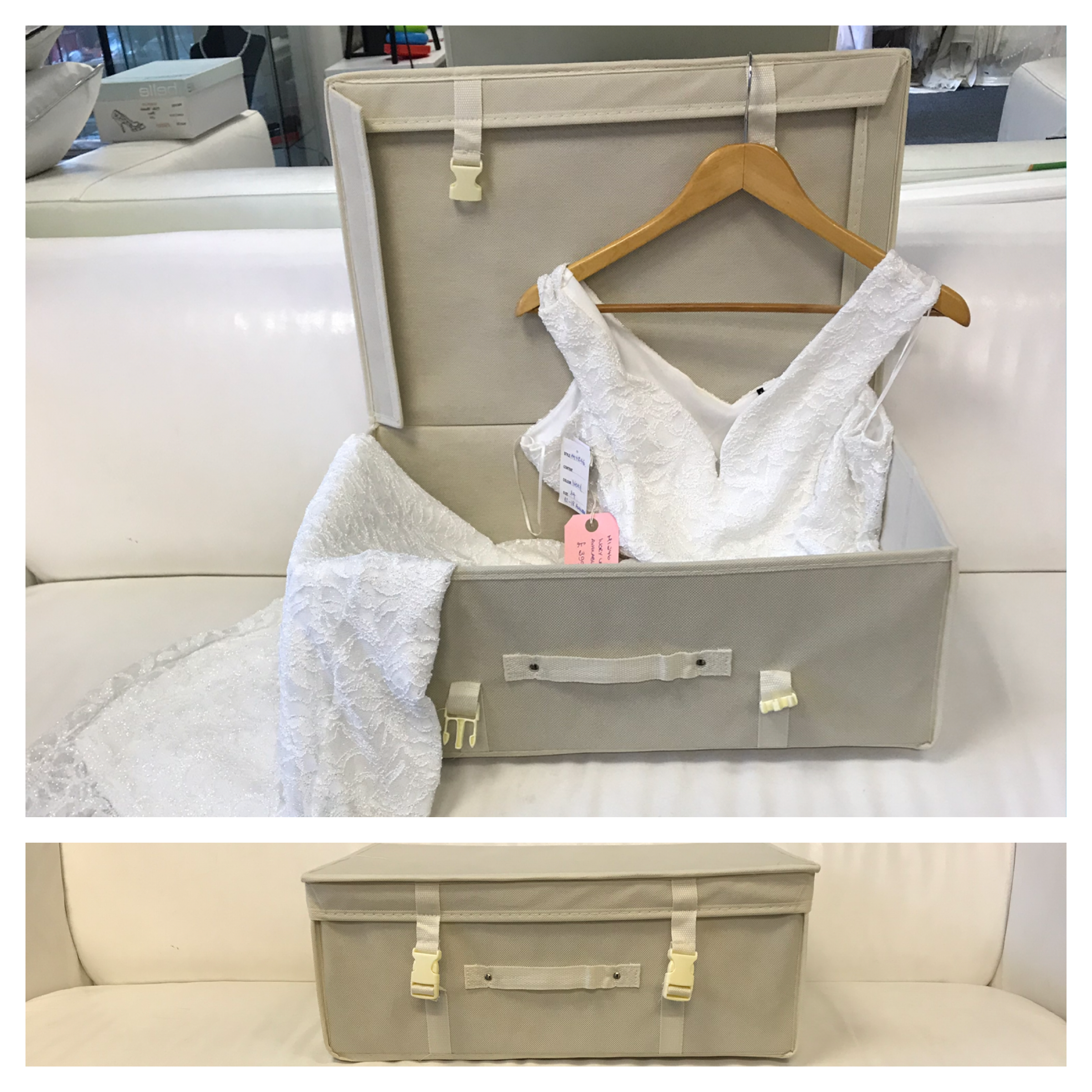 Dress Trave/Storage Case