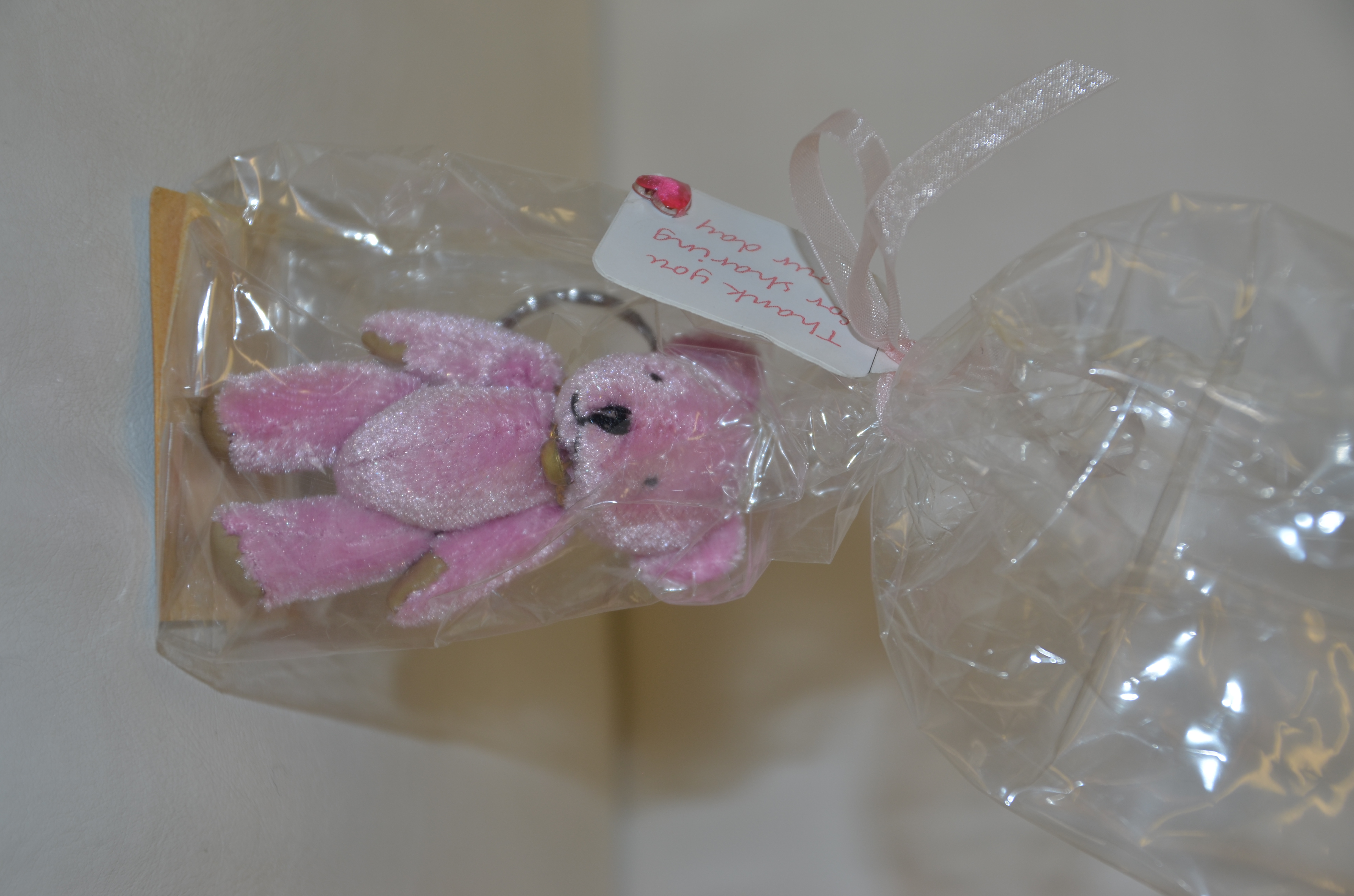 Pink Bear Keyring Gift